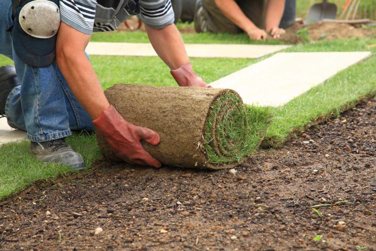 Sodding & grass replacement