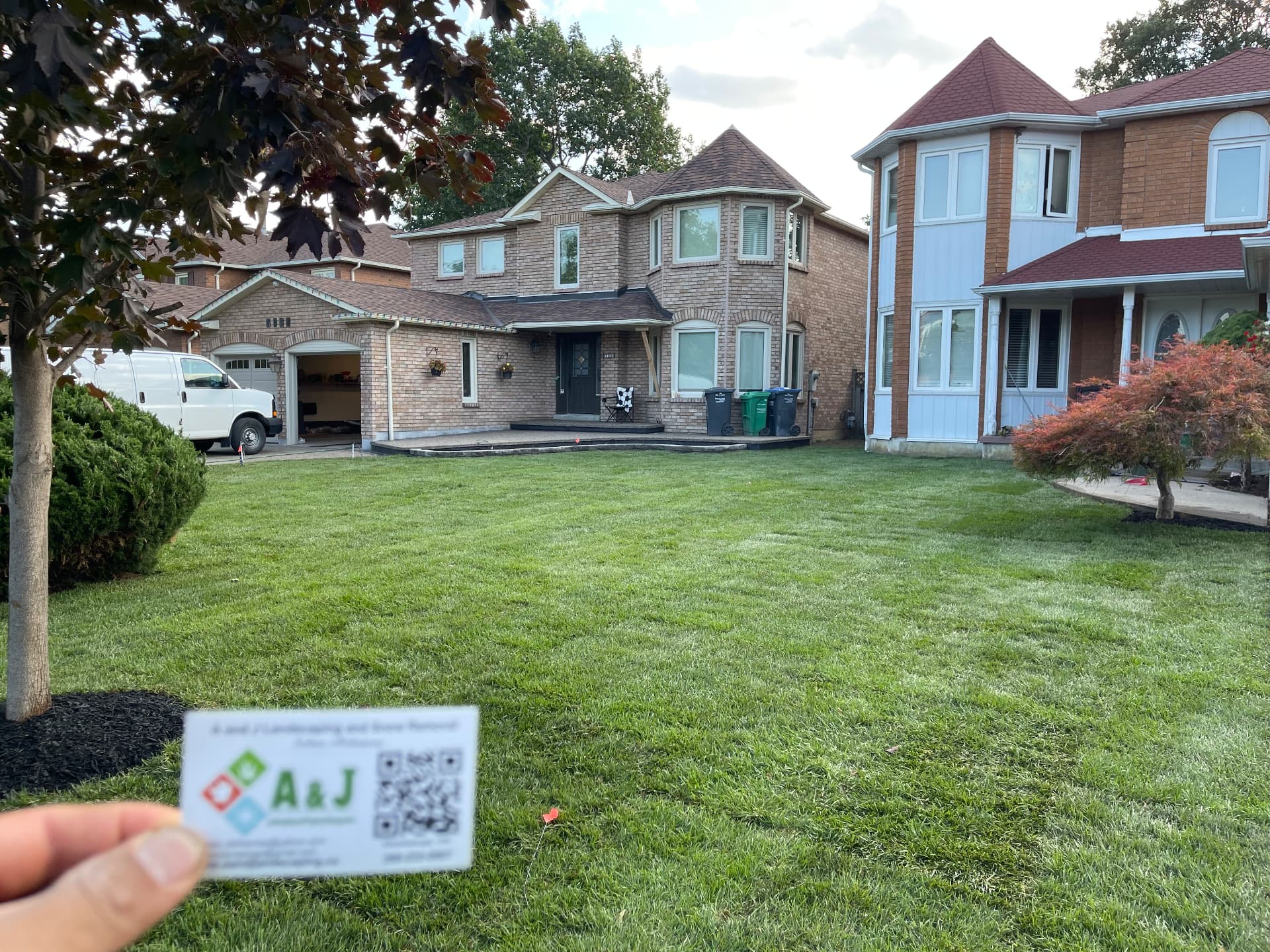 A front yard, freshly sodded