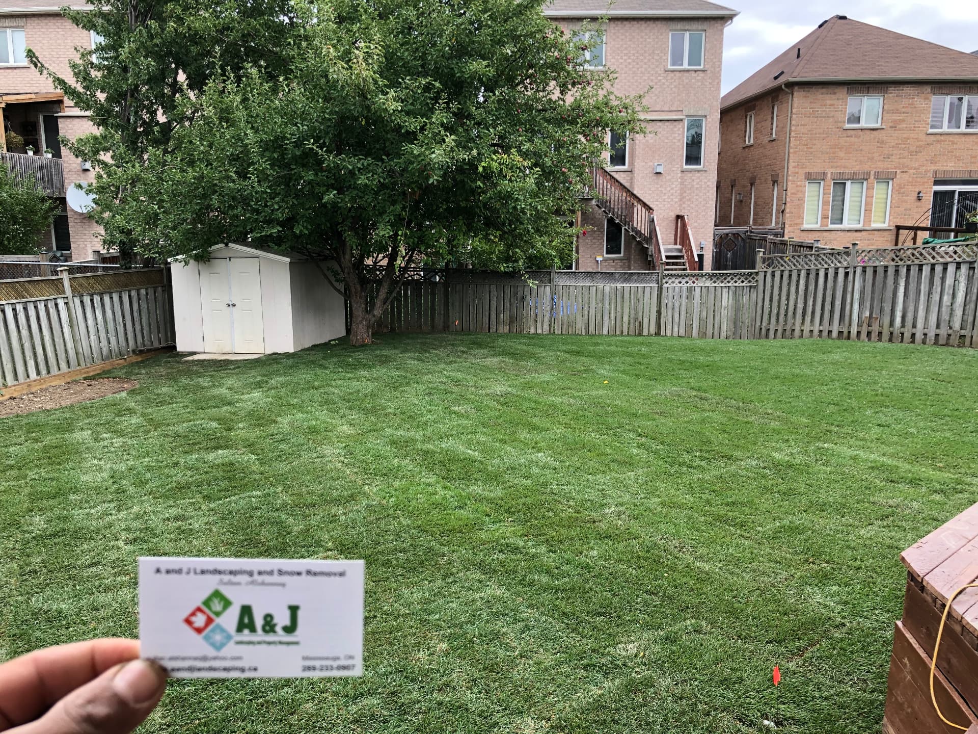 A backyard renewed with fresh sod
